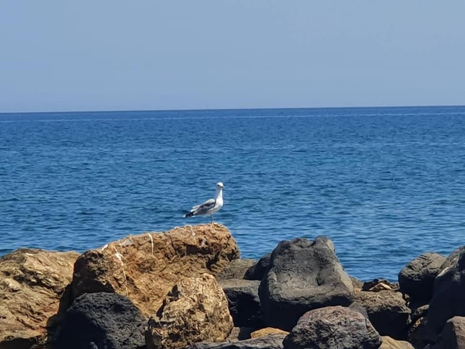 Rodothea And Adams On The Beach, Santorini Monolithos  Ngoại thất bức ảnh